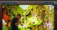 El televisor más grande de Chile se vende por casi $11.000.000