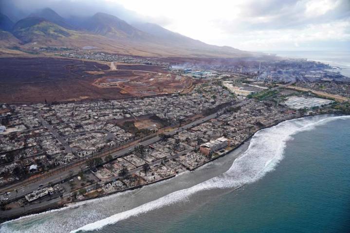 Study shows world more ablaze now with damaging fires than in 1980s