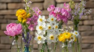 La planta que da flores perfumadas y crece en cualquier frasco