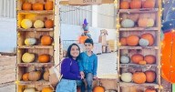 'My son's nursery said something different about him