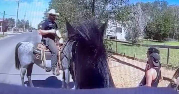 BUCKTIN: Guilty perp chased down by 'drug-sniffing' HORSE after cop cracks joke