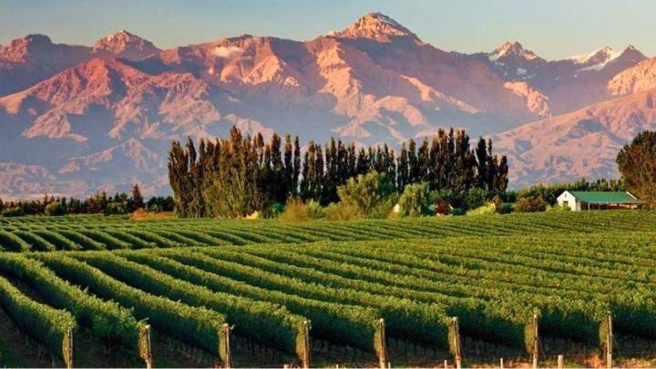 La jugada del Gobierno para subir el Impuesto Inmobiliario en campos premium como los del Valle de Uco