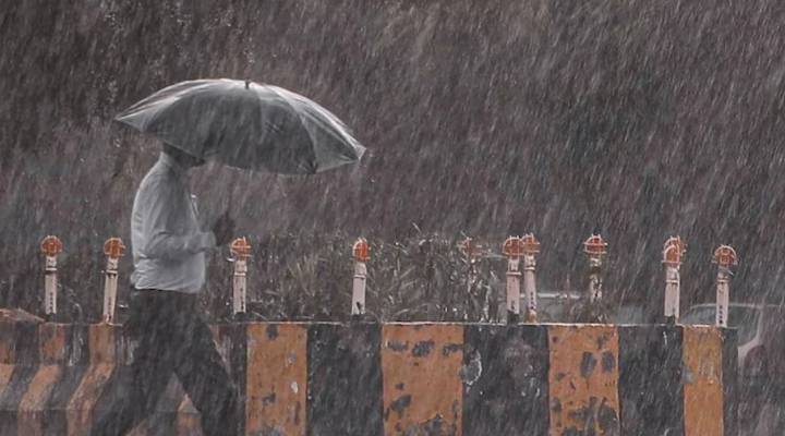 Weather Alert: Maharashtra on Yellow Alert for 8 October 2025; Heavy Rain Expected in 10 Districts Over Next 3 Days