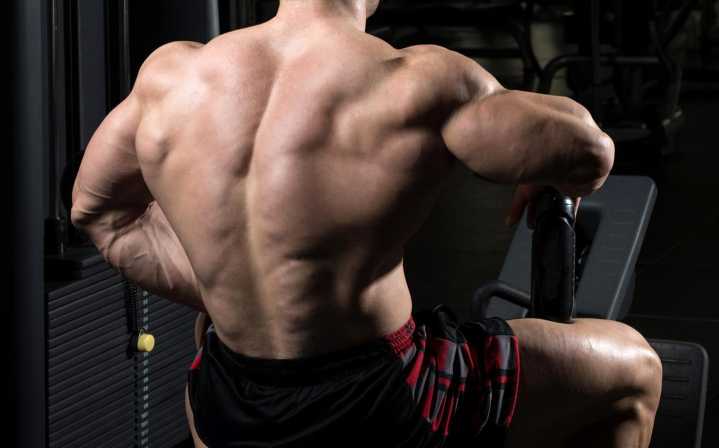 The Back Training Mistakes That Are Wasting Your Time