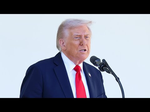 Trump to seek millions from Justice Department for compensation over previous cases: NY Times