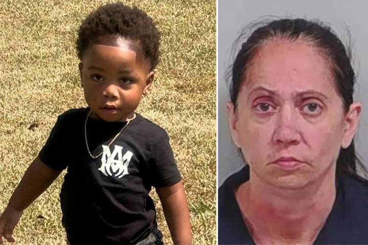 Georgia daycare owner arrested after her dogs killed 2