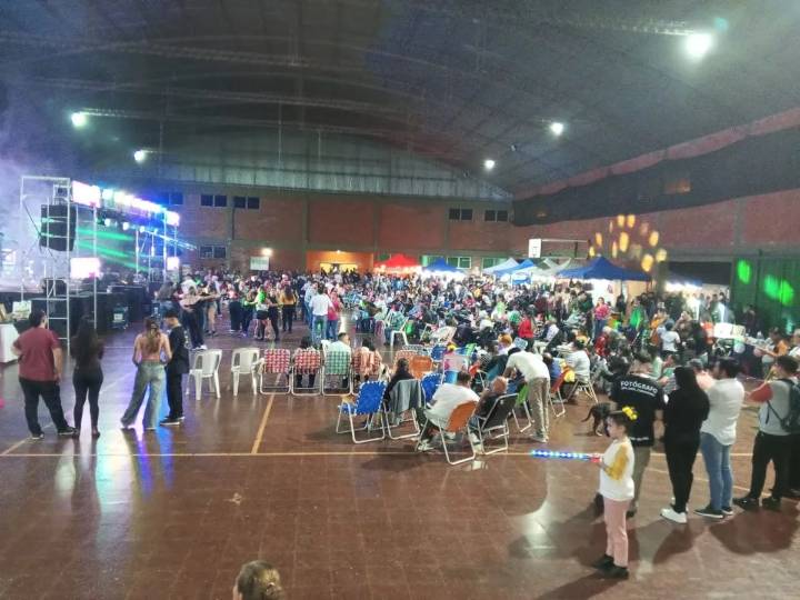 Empezó la Fiesta del Lapacho en Puerto Leoni