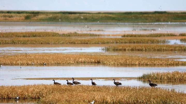 Deadline for Great Salt Lake water projects extended as shutdown creates new hurdle