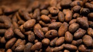 El cacao vive su peor semana desde 1999: se desploman las ventas