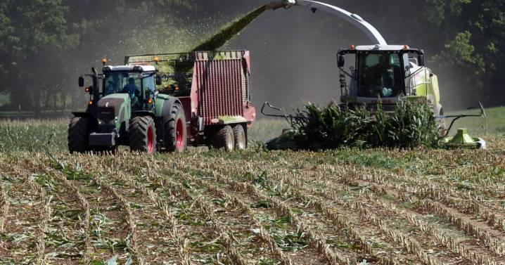 Farmers Warn of Economic Crisis as Prices Plummet and Input Costs Rise