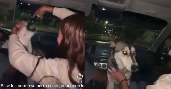 Crueldad en Chihuahua: jóvenes emborrachan a una perrita y graban el abuso