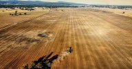 Prime 1480 acre agricultural property for sale in Bimbi, NSW