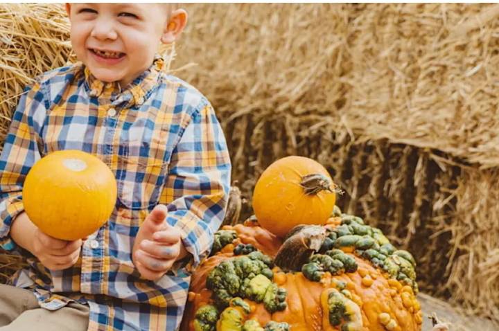Garden Talk: Last-minute garden activities to take care of this fall