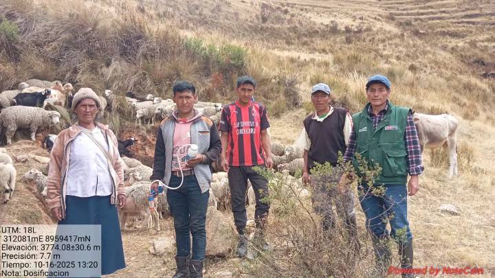 Huamalíes: Entregan semillas, cobertizos y asistencia técnica en seis distritos impactados por heladas y lluvias