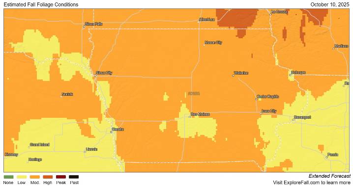 Fall Foliage Update: Iowa Nearing Peak Color This Weekend 🍂🍁