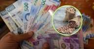 Ni para un kilo de frijol: Aumento al salario de 2026 queda corto a mexicanos