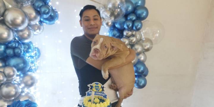 Un joven chef se resistió a un asalto y forcejeó con un delincuente armado en Moreno: ambos murieron