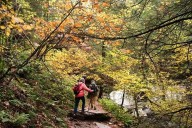 Drought has muted this year's leaf