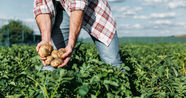 Trump administration document links immigration crackdown to potential food supply problems