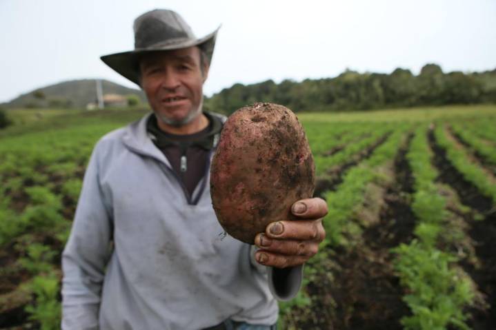 Está abierta la sexta convocatoria de Incentivo a la Capitalización Finca “Creemos en el campo”
