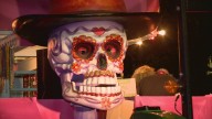 RTA warns of transit delays, detours Saturday for Krewe of BOO! events