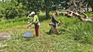Continúa mantenimiento en los espacios verdes en Maturín