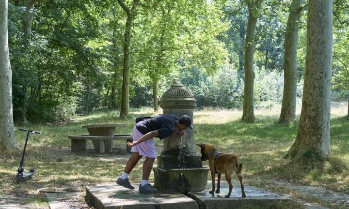 El futuro de la conservación de la naturaleza pasa por las grandes urbes