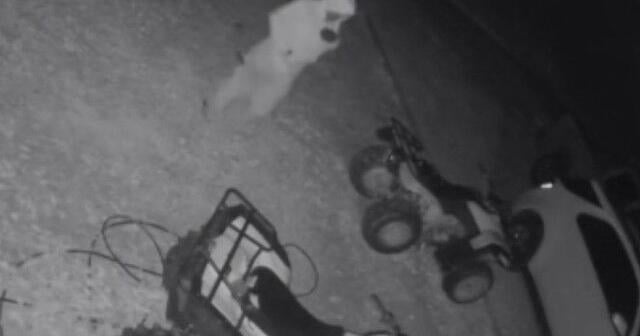 Lauderdale Co. Sheriff: Man accused of stealing 4-wheeler found hiding under house