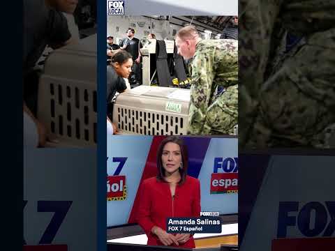 🌊El huracán Melissa azota el este de Cuba durante la noche.🌪️