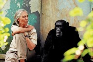 Apple Pays Homage To Dr. Jane Goodall With A New Mac Ad