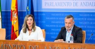 La oposición exige "el cese o la dimisión" de la consejera de Salud por los casos de demoras en el cribado del cáncer de mama en Andalucía