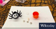 ‘Horrifying’: Consumer Protection WA’s warning over Halloween toys