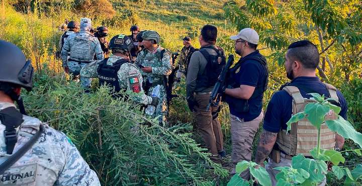 Desmantelan campamento criminal en Zamora tras enfrentamiento: hay 3 muertos y 4 detenidos