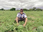 "Estamos haciendo historia": un productor concretó la primera exportación de sandías tras la desregulación del mercado