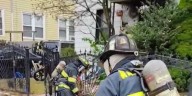 Four puppies rescued from burning home in Waterbury