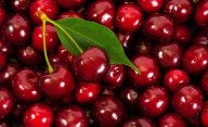 El Municipio abre inscripción de habilitación para la venta de cerezas durante la temporada