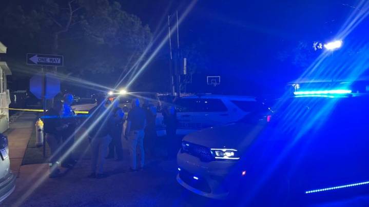 NOPD: Man shot, killed in Leonidas neighborhood