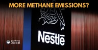Nestle Withdraws From Global Alliance On Cutting Dairy Methane Emissions