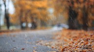 Old Farmer's Almanac releases Thanksgiving 2025 weather forecast