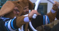 Meet the Utah Hockey Fans behind the Mammoth movement