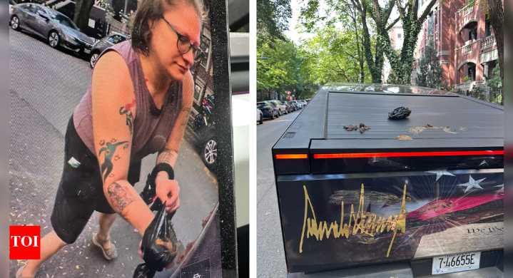 'Mental illness': Woman smears dog poop on Trump-themed Tesla Cybertruck in Chicago — Watch