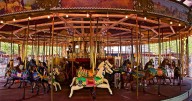 Canberra's merry-go-round shuts for maintenance