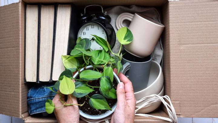 What is Danshari? Here's how this Japanese decluttering method can totally transform your home