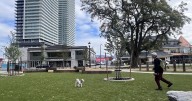 Kelowna's million-dollar downtown dog park opens Thursday