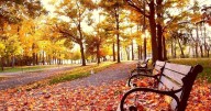 La nostalgia del otoño y la riqueza de lo que tenemos