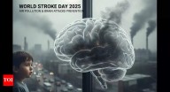 World Stroke Day 2025: Air pollution is silently triggering brain attacks. Here’s how to protect yourself
