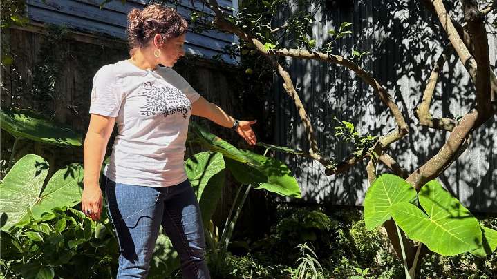 Long-lost ancient Roman artifact reappears in New Orleans backyard