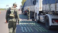 Ruta 11: interceptaron dos camiones que llevaban escondidos 129 kilos de hojas de coca