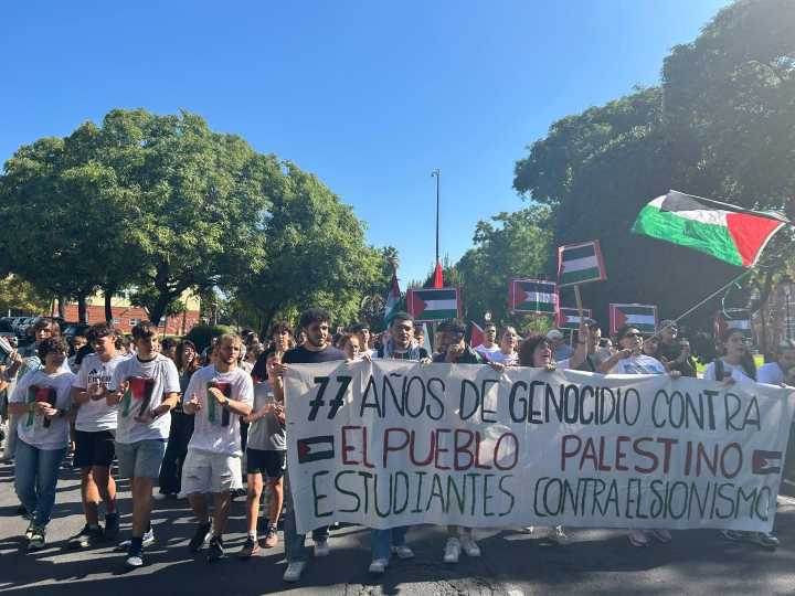 Decenas de estudiantes toman las calles de Huelva en apoyo al pueblo palestino: "¡Qué pare el genocidio"