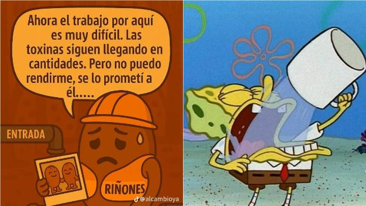‘Hermanos riñones’, el video viral que recuerda la importancia de tomar agua